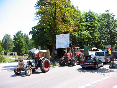 Klicken Sie hier um zum nächsten Foto zu gelangen.